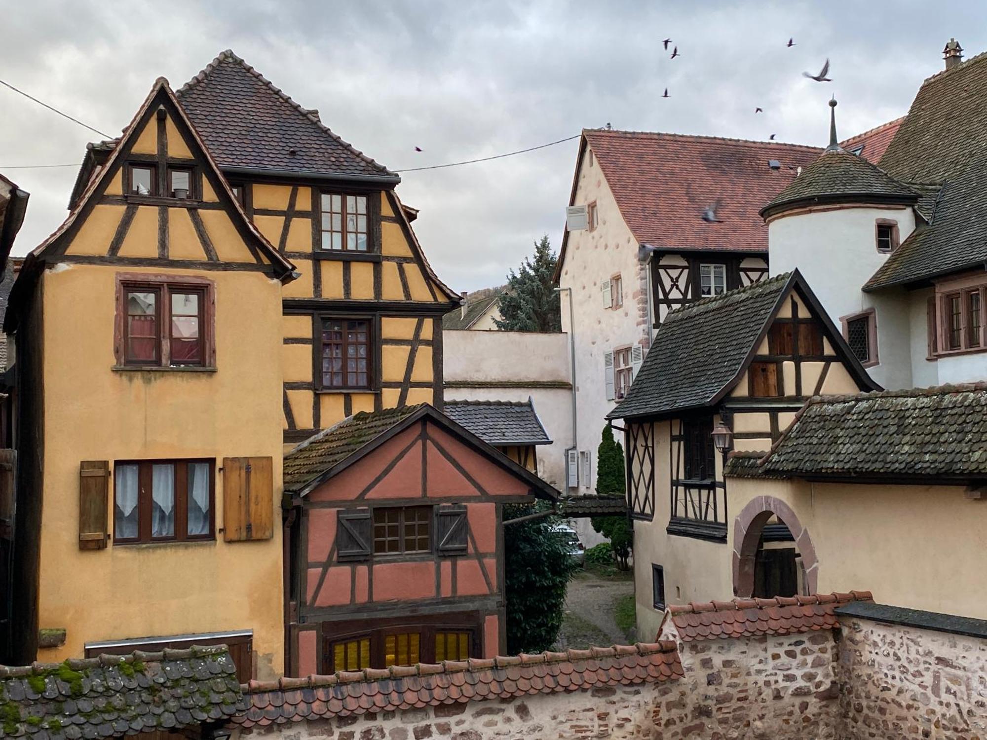 Laterale Residences Riquewihr Zewnętrze zdjęcie